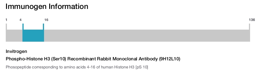 Phospho-Histone H3 (Ser10) Recombinant Rabbit Monoclonal Antibody (9H12L10)