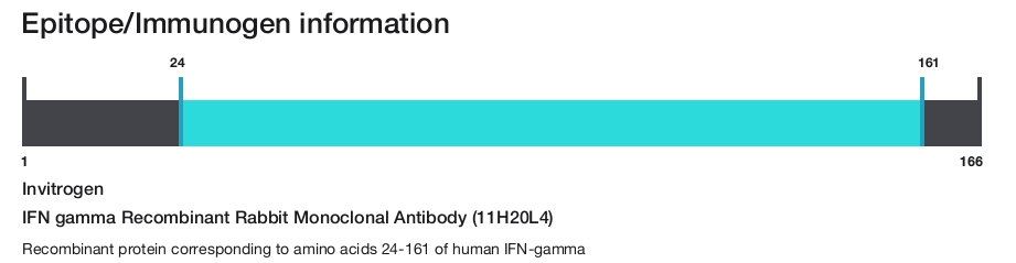 IFN gamma Recombinant Rabbit Monoclonal Antibody (11H20L4)