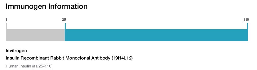Insulin Recombinant Rabbit Monoclonal Antibody (19H4L12)