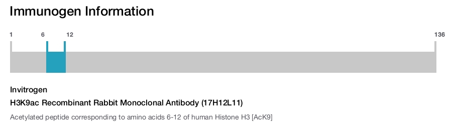 H3K9ac Recombinant Rabbit Monoclonal Antibody (17H12L11)