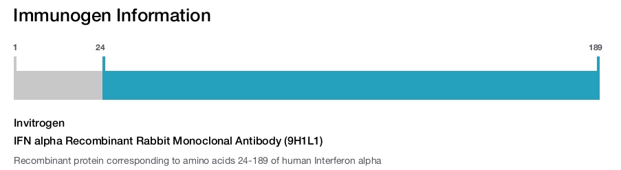 IFN alpha Recombinant Rabbit Monoclonal Antibody (9H1L1)