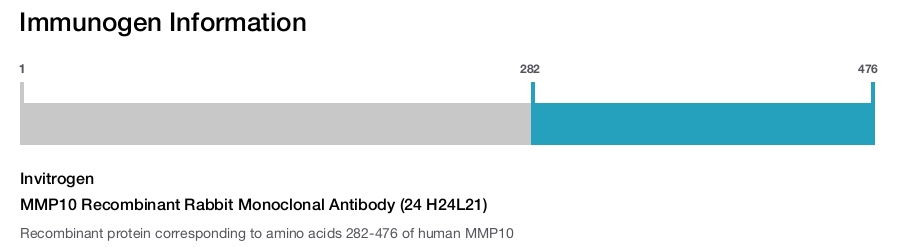 MMP10 Recombinant Rabbit Monoclonal Antibody (24 H24L21)