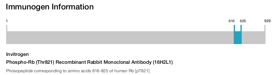 Phospho-Rb (Thr821) Recombinant Rabbit Monoclonal Antibody (16H2L1)
