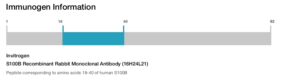 S100B Recombinant Rabbit Monoclonal Antibody (16H24L21)