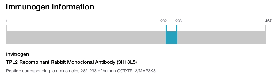 TPL2 Recombinant Rabbit Monoclonal Antibody (3H18L5)