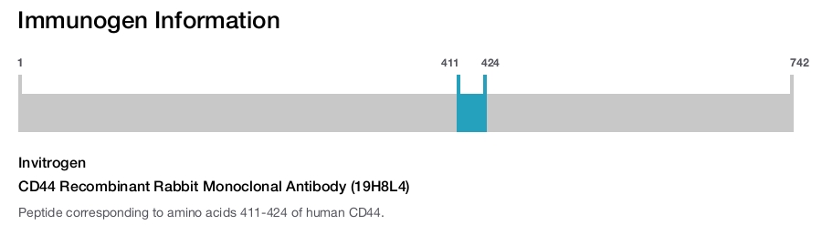CD44 Recombinant Rabbit Monoclonal Antibody (19H8L4)