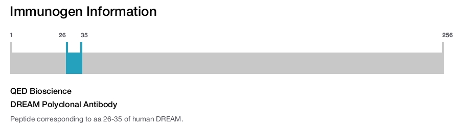 DREAM Polyclonal Antibody