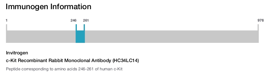 c-Kit Recombinant Rabbit Monoclonal Antibody (HC34LC14)