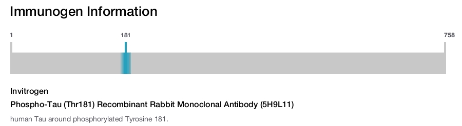Phospho-Tau (Thr181) Recombinant Rabbit Monoclonal Antibody (5H9L11)