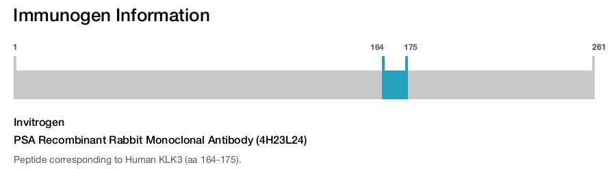 PSA Recombinant Rabbit Monoclonal Antibody (4H23L24)