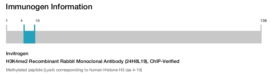 H3K4me2 Recombinant Rabbit Monoclonal Antibody (24H8L19), ChIP-Verified