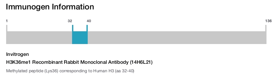 H3K36me1 Recombinant Rabbit Monoclonal Antibody (14H6L21)