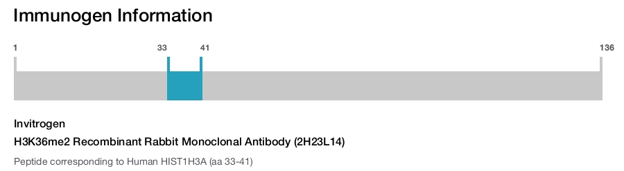 H3K36me2 Recombinant Rabbit Monoclonal Antibody (2H23L14)