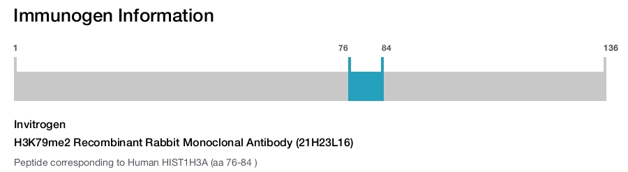 H3K79me2 Recombinant Rabbit Monoclonal Antibody (21H23L16)