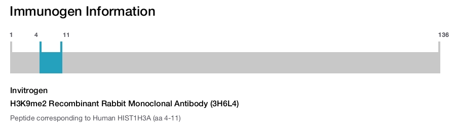 H3K9me2 Recombinant Rabbit Monoclonal Antibody (3H6L4)