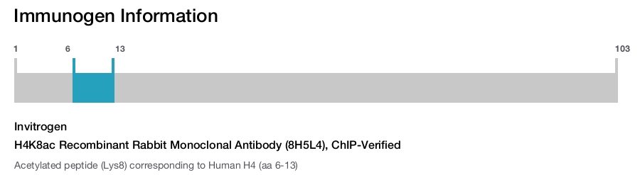 H4K8ac Recombinant Rabbit Monoclonal Antibody (8H5L4), ChIP-Verified