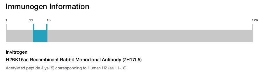 H2BK15ac Recombinant Rabbit Monoclonal Antibody (7H17L5)