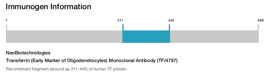 Transferrin (Early Marker of Oligodendrocytes) Monoclonal Antibody (TF/4797)
