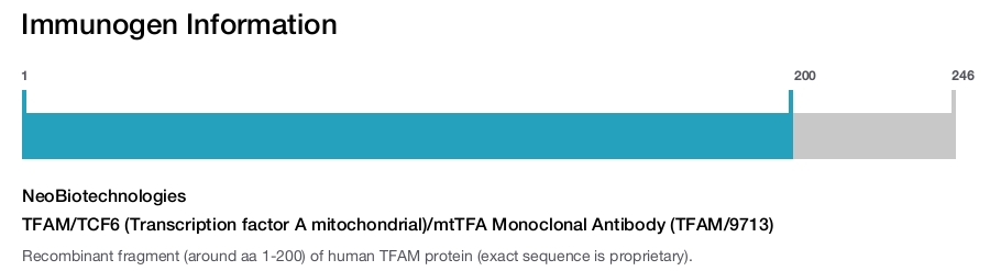 TFAM/TCF6 (Transcription factor A mitochondrial)/mtTFA Monoclonal Antibody (TFAM/9713)