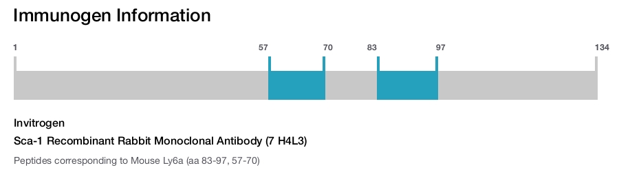Sca-1 Recombinant Rabbit Monoclonal Antibody (7 H4L3)