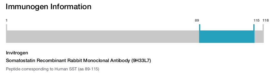 Somatostatin Recombinant Rabbit Monoclonal Antibody (9H33L7)