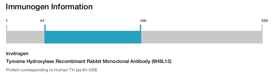 Tyrosine Hydroxylase Recombinant Rabbit Monoclonal Antibody (9H8L15)