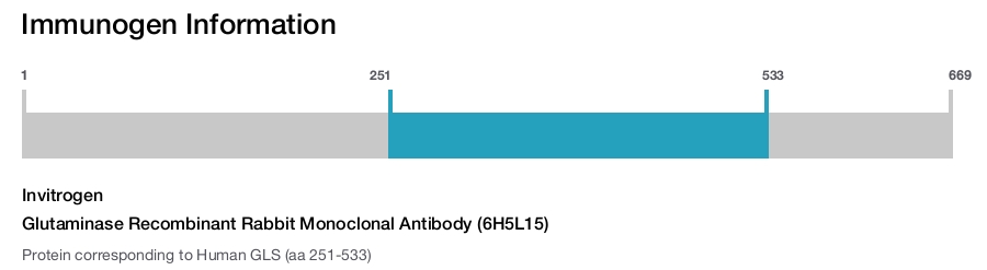 Glutaminase Recombinant Rabbit Monoclonal Antibody (6H5L15)