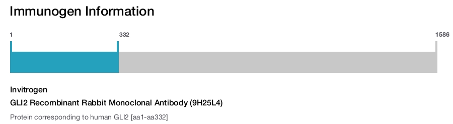 GLI2 Recombinant Rabbit Monoclonal Antibody (9H25L4)