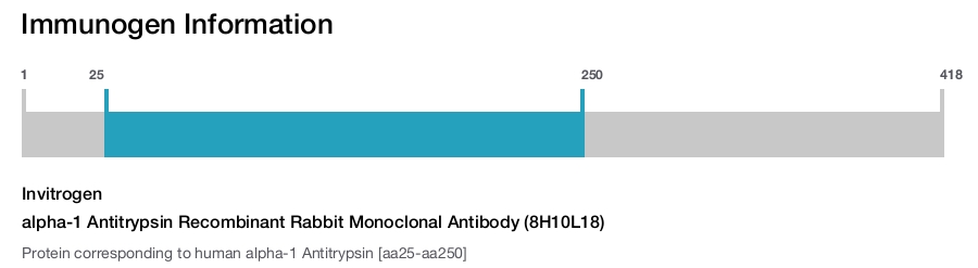 alpha-1 Antitrypsin Recombinant Rabbit Monoclonal Antibody (8H10L18)