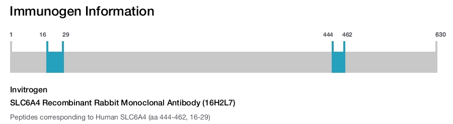 SLC6A4 Recombinant Rabbit Monoclonal Antibody (16H2L7)