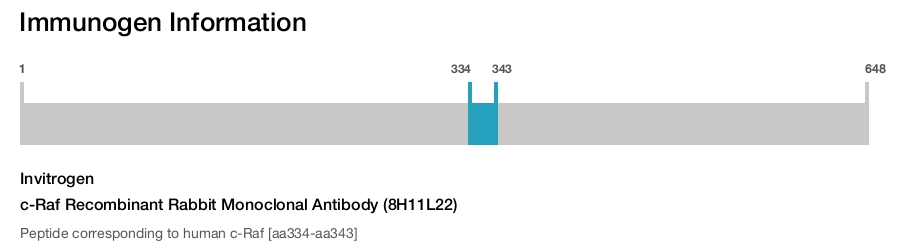 c-Raf Recombinant Rabbit Monoclonal Antibody (8H11L22)