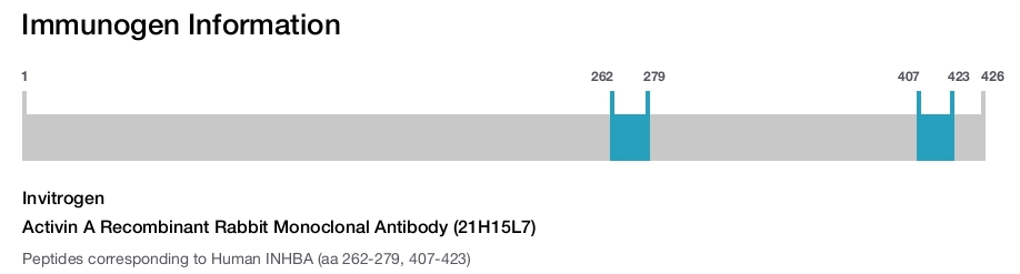 Activin A Recombinant Rabbit Monoclonal Antibody (21H15L7)