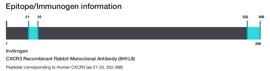 CXCR3 Recombinant Rabbit Monoclonal Antibody (6H1L8)