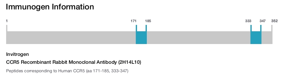 CCR5 Recombinant Rabbit Monoclonal Antibody (2H14L10)