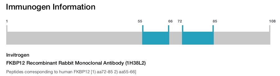 FKBP12 Recombinant Rabbit Monoclonal Antibody (1H38L2)