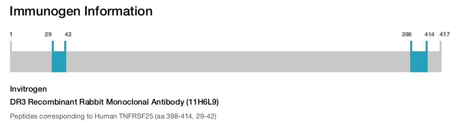 DR3 Recombinant Rabbit Monoclonal Antibody (11H6L9)