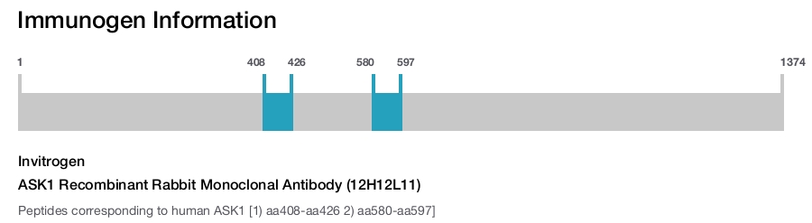 ASK1 Recombinant Rabbit Monoclonal Antibody (12H12L11)