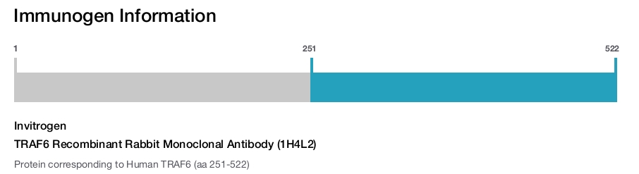TRAF6 Recombinant Rabbit Monoclonal Antibody (1H4L2)