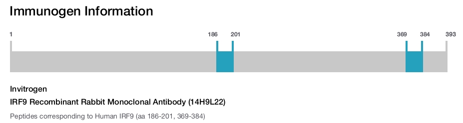 IRF9 Recombinant Rabbit Monoclonal Antibody (14H9L22)