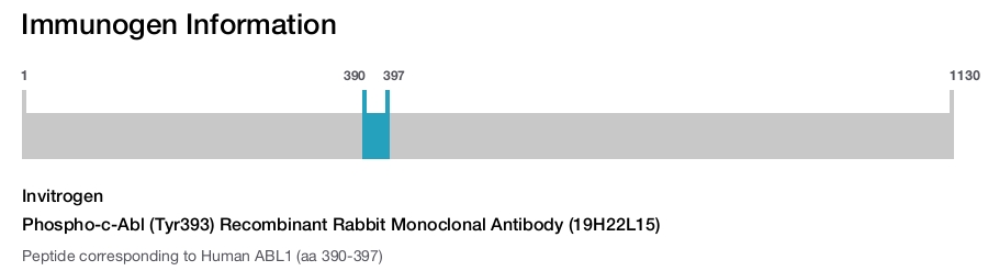 Phospho-c-Abl (Tyr393) Recombinant Rabbit Monoclonal Antibody (19H22L15)
