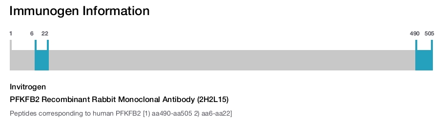 PFKFB2 Recombinant Rabbit Monoclonal Antibody (2H2L15)