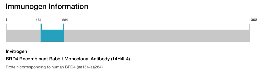 BRD4 Recombinant Rabbit Monoclonal Antibody (14H4L4)