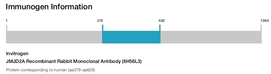 JMJD2A Recombinant Rabbit Monoclonal Antibody (6H56L3)