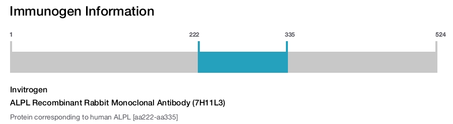 ALPL Recombinant Rabbit Monoclonal Antibody (7H11L3)