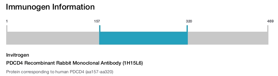 PDCD4 Recombinant Rabbit Monoclonal Antibody (1H15L6)