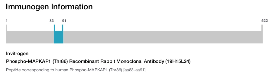 Phospho-MAPKAP1 (Thr86) Recombinant Rabbit Monoclonal Antibody (19H15L24)