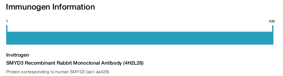 SMYD3 Recombinant Rabbit Monoclonal Antibody (4H2L28)