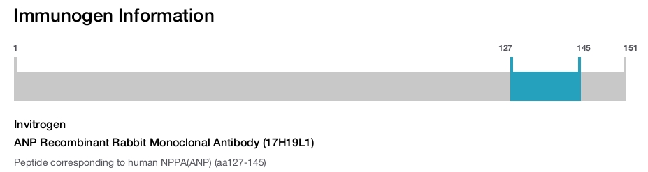 ANP Recombinant Rabbit Monoclonal Antibody (17H19L1)