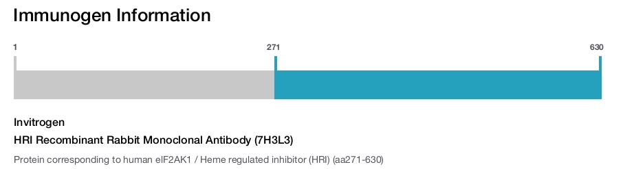 HRI Recombinant Rabbit Monoclonal Antibody (7H3L3)