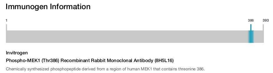 Phospho-MEK1 (Thr386) Recombinant Rabbit Monoclonal Antibody (8H5L16)